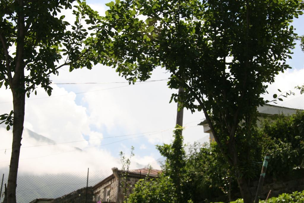 Guest House Sabauri Stepantsminda Exterior photo